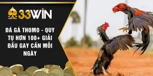 Đá Gà Thomo - Quy Tụ Hơn 100+ Giải Đấu Gay Cấn Mỗi Ngày